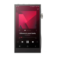 Astell&Kern SE300 Silver