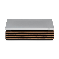 Ruark R-CD100