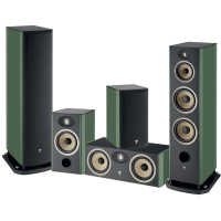 Focal Aria Evo X N4 5.0 Moss