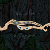 Animal Collective - Spirit They're Gone Spirit They've Vanished (Coloured) (2LP)
