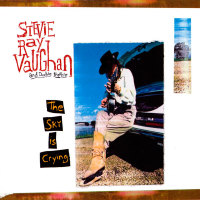 Stevie Ray Vaughan And Double Trouble - The Sky Is Crying (LP)