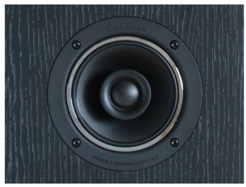 Cabasse Antigua MC170 Piano Black