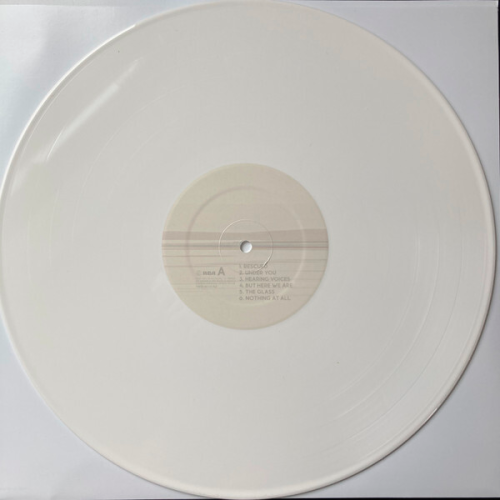 Foo Fighters - But Here We Are (Coloured) (LP)