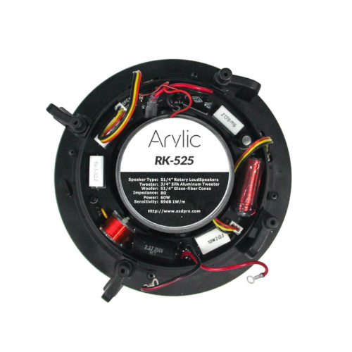 Arylic RK525