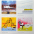 Muse - Origin Of Symmetry (2LP)