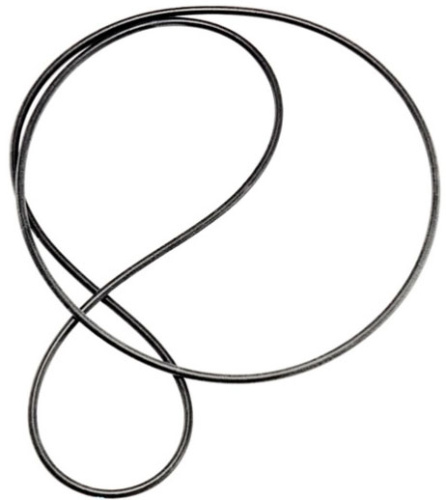 EAT Drive Belt Fortissimo - Forte