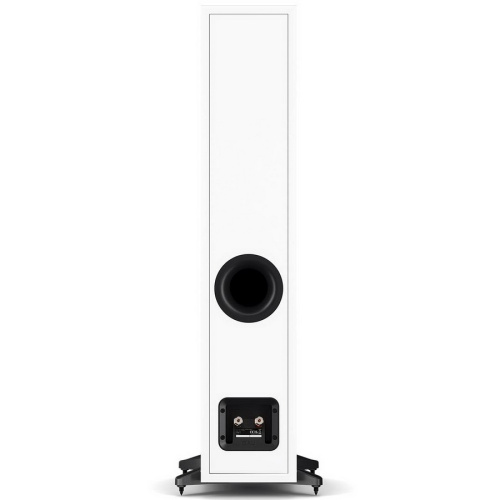 Dali Sonik 5 White