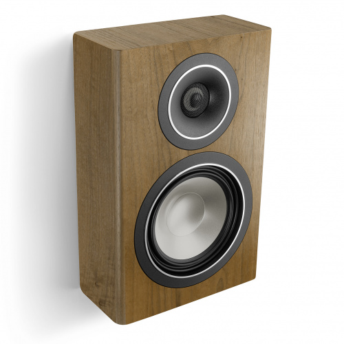 Canton Townus 10 Walnut