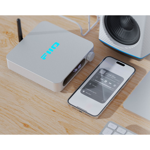 Fiio SR11 (F3081S) Silver