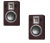 Audiovector QR Wall Dark Walnut Veneer