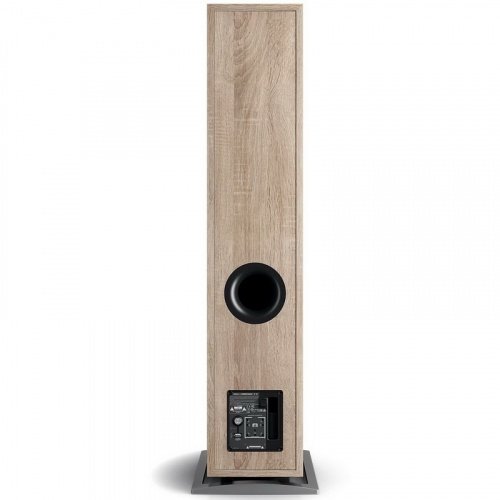 DALI Oberon 7C Light Oak