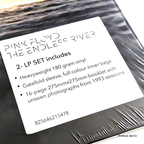 Pink Floyd - The Endless River (2LP)