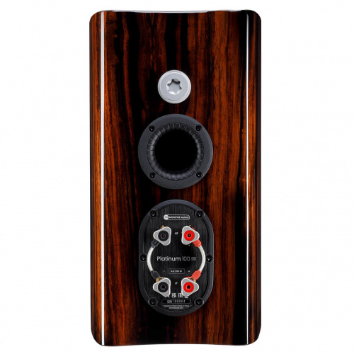 Monitor Audio Platinum 100 Piano Black (3G)