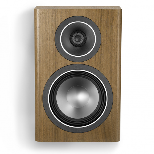 Canton Townus 10 Walnut