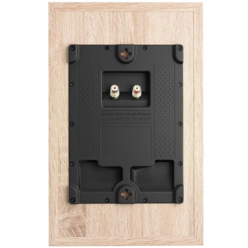 DALI Oberon On Wall Light Oak