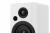 Premiera RS-301A White