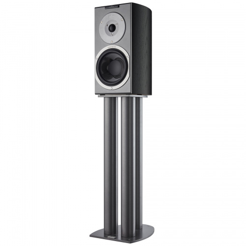 AudioVector R1 Signature Black Ash