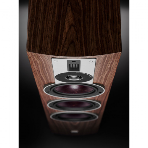 DALI Rubicon 8 Walnut