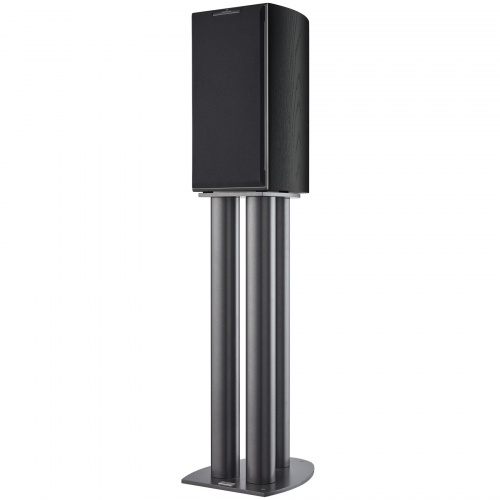 AudioVector R1 Signature Black Ash