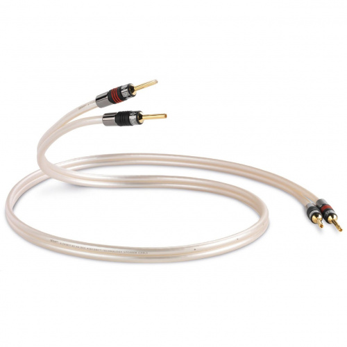 QED XT40 Pre-Term Speaker Cable 3.0m (QE1452) QED XT40 Pre-Term Speaker Cable 3.0m (QE1452)