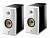 Focal Kanta N1 Carrara White / Black High Gloss