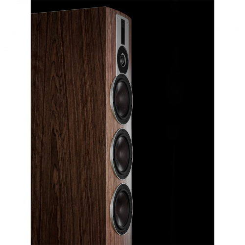 DALI Rubicon 8 Walnut