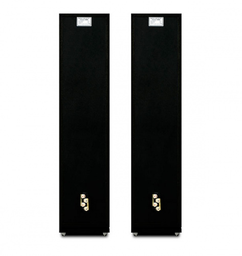 Wharfedale Diamond 250 Black Wood