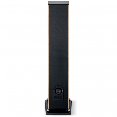 Focal Aria Evo X N3 Prime Walnut