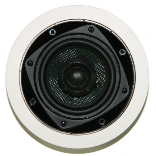 Davis Acoustics 100 RO