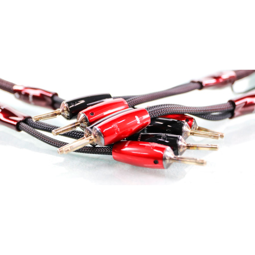 AudioQuest Type 9 + DBS FR-BANANAS 2.5m AudioQuest Type 9 + DBS FR-BANANAS 2.5m