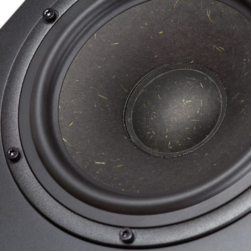 Radiotehnika Gamma 3.03 Black Ash