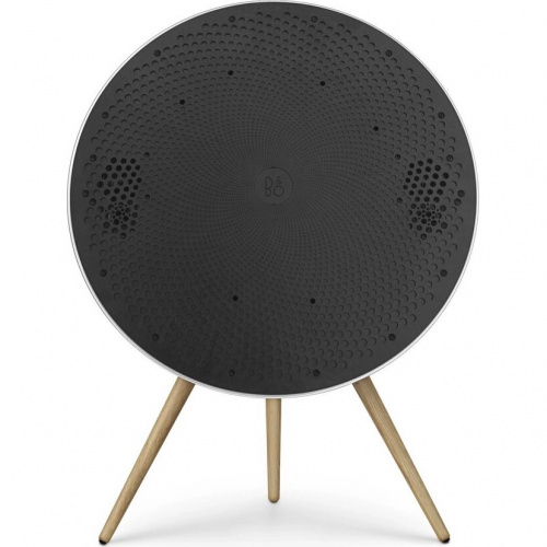 Bang & Olufsen Beosound A9 5th Generation Natural Aluminium