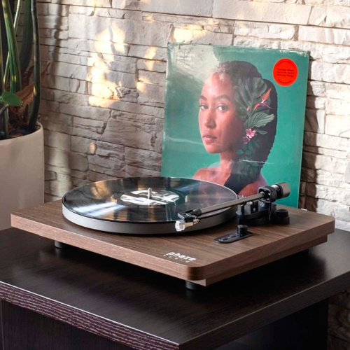 Phaze Audio Diana Walnut