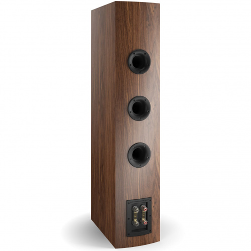 DALI Rubicon 8 Natural Walnut