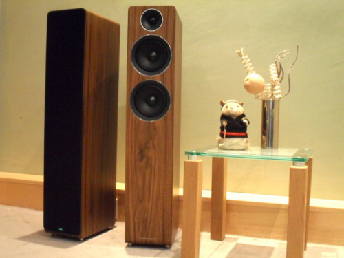 Acoustic Energy AE109 (2017) Walnut