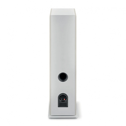 Focal Vestia N4 Light Wood