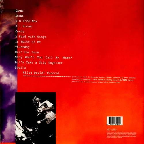 Morphine - Cure For Pain (LP)