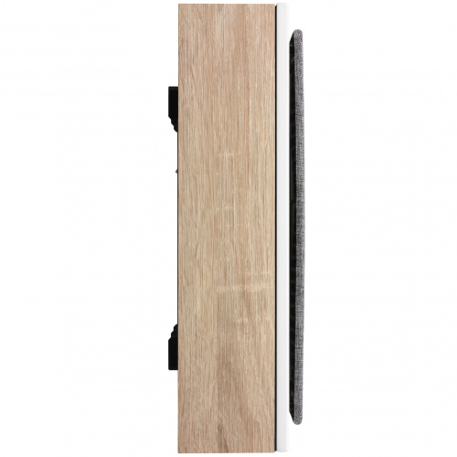 DALI Oberon On Wall Light Oak