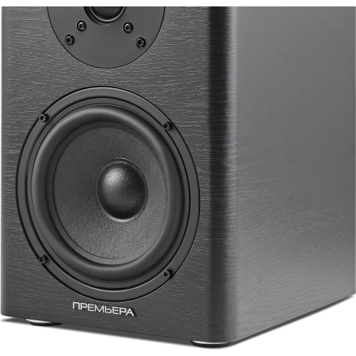 Premiera ES-501A Black