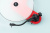 Pro-Ject RPM 1 Carbon DC (2M Red) Red