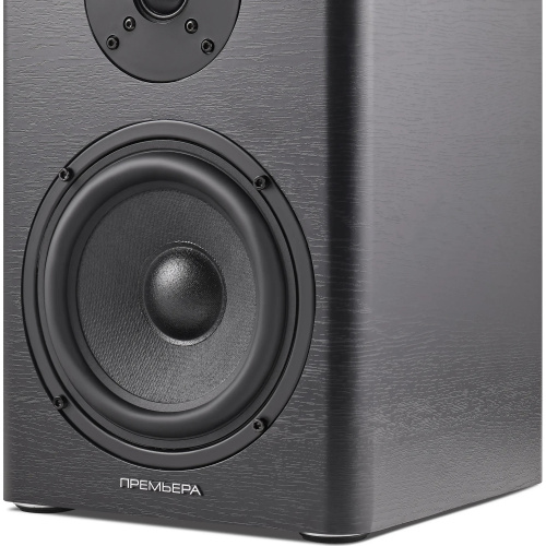 Premiera ES-701A Black