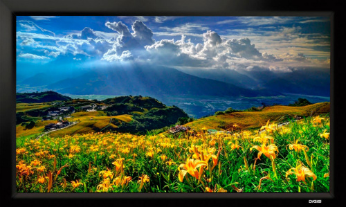 Digis Velvet 176" 219x390 (DSVFS-16907)