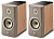 Focal Kanta N1 Warm Taupe / Walnut