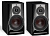 DALI Rubicon 2 C Black + Sound HUB BluOS