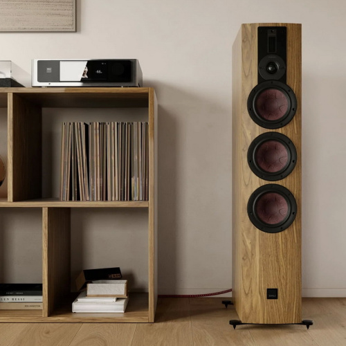 Dali Rubikore 8 Natural Walnut