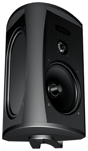 Definitive Technology AW 5500 Black