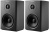 Dynaudio XEO 10 Satin Black