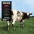 Pink Floyd - Atom Heart Mother (LP) Pink Floyd - Atom Heart Mother (LP)