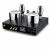 Fezz Audio Mira Ceti 300b Mono Power Amplifier Black ice