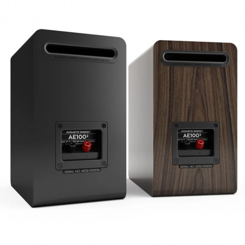 Acoustic Energy AE100-2 (2022) Walnut